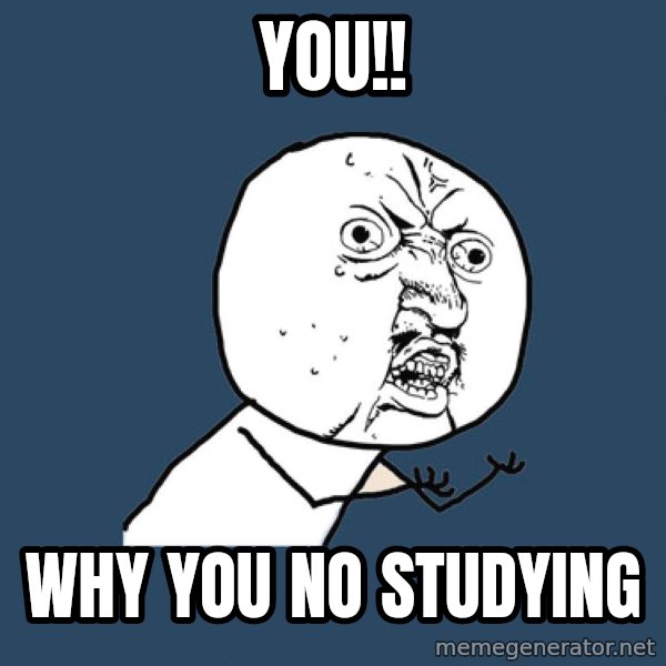 Y U No meme: YOU!! / WHY you no studying