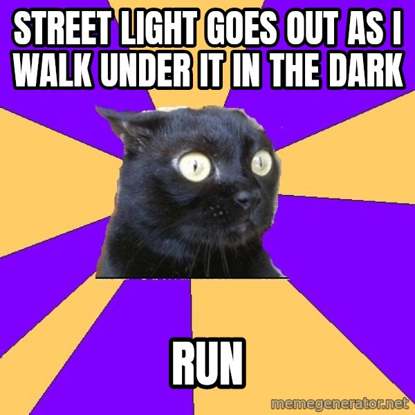 Anxiety Cat meme: street light goes out as i walk under it in the dark / run