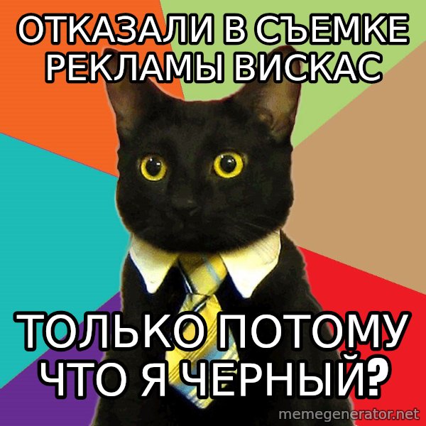 Business Cat meme: отказали в съемке рекламы вискас / только потому что я черный?