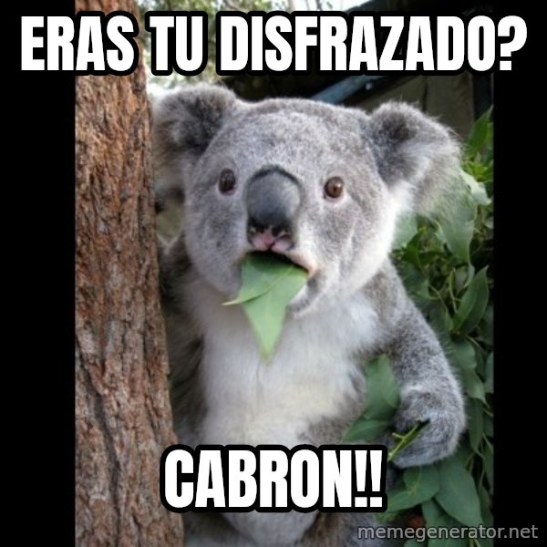 Koala can't believe it meme: eras tu DISFRAZADO? / cabron!!