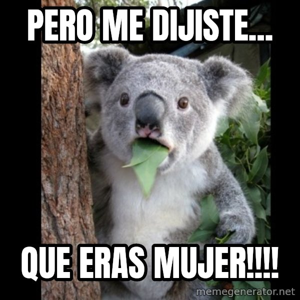Koala can't believe it meme: Pero me dijiste... / Que eras mujer!!!!