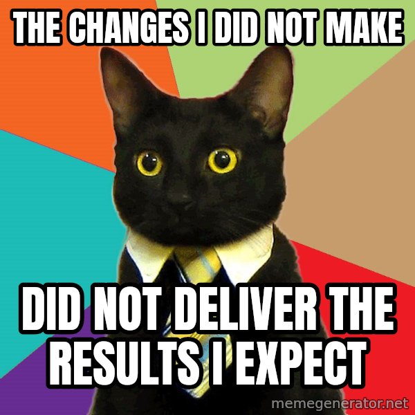 Business Cat meme: THE CHANGES I DID NOT MAKE / DID NOT DELIVER THE RESULTS I EXPECT