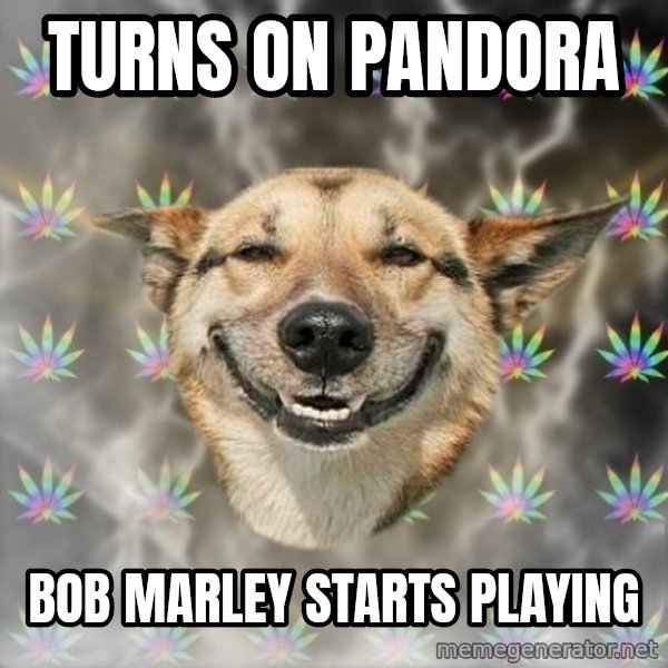 Stoner Dog meme: turns on pandora / bob marley starts playing