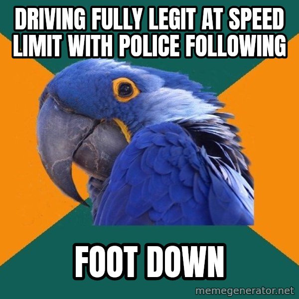 Paranoid Parrot meme: driving fully legit at speed   limit with police following / foot down