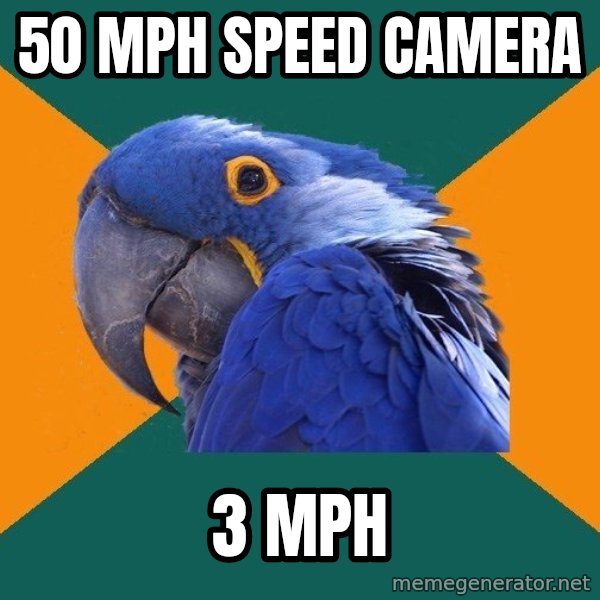 Paranoid Parrot meme: 50 mph speed camera / 3 mph