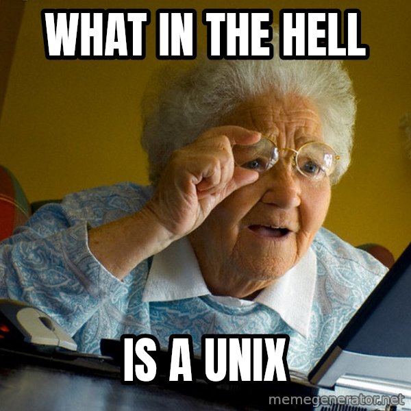 Internet Grandma Surprise meme: what in the hell / is a unix