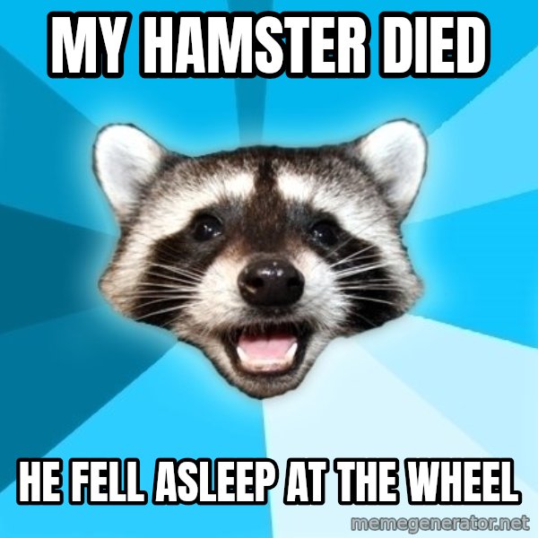 Lame Pun Coon meme: my hamster died / He fell asleep at the wheel