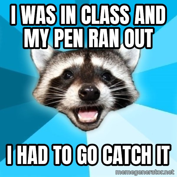 Lame Pun Coon meme: i was in class and my pen ran out / i had to go catch it