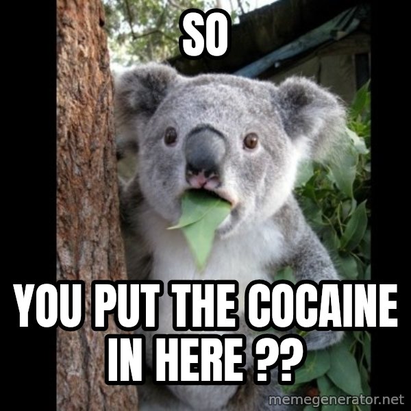 Koala can't believe it meme: so / you put the cocaine in here ??