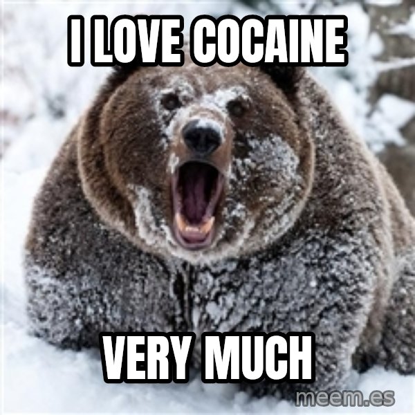 Cocaine Bear meme: i love cocaine / VERY MUCH