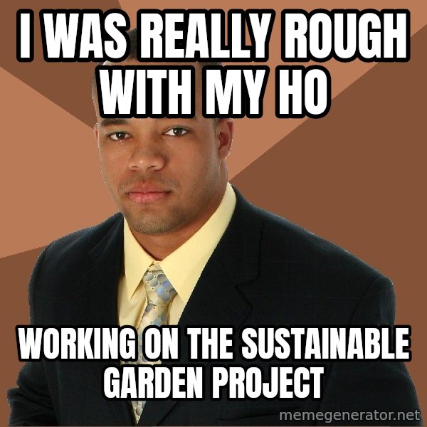 Successful Black Man meme: i was really rough with my ho / working on the sustainable garden project