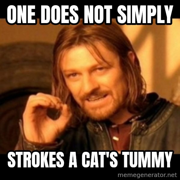 Does not simply walk into mordor Boromir  meme: one does not simply / strokes a cat's tummy