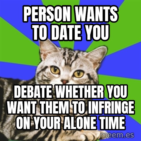 Introvert Cat meme: Person wants to date you / Debate whether you want them to infringe on your alone time