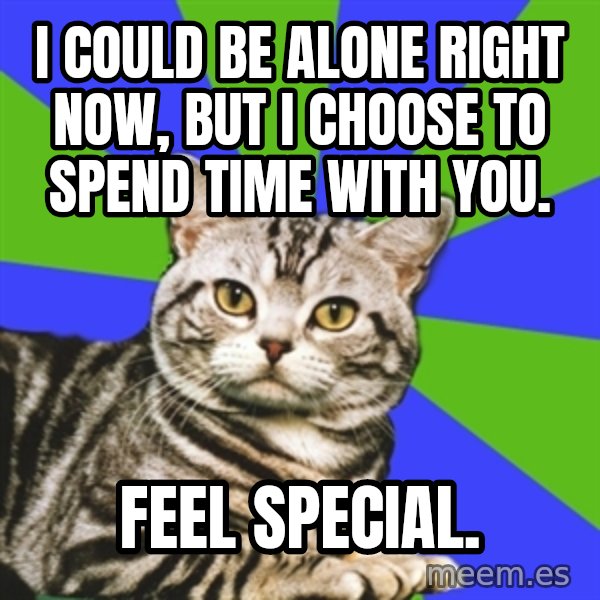 Introvert Cat meme: I could be alone right now, but I choose to spend time with you. / Feel Special.