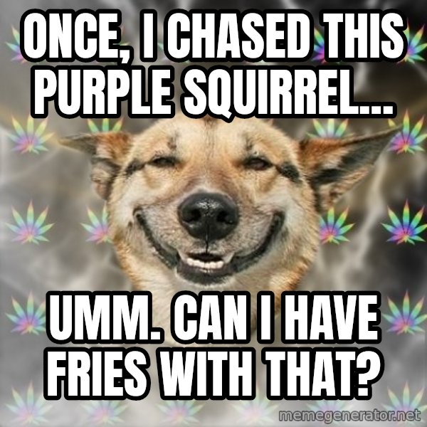Stoner Dog meme: Once, I chased this purple squirrel... / Umm. can i have fries with that?