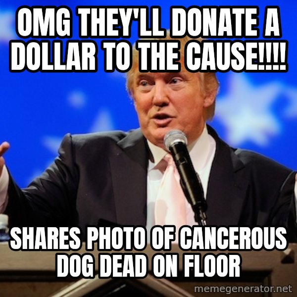 Annoying Facebook Girl meme: Omg they'll donate a dollar to the cause!!!! / shares photo of cancerous dog dead on floor