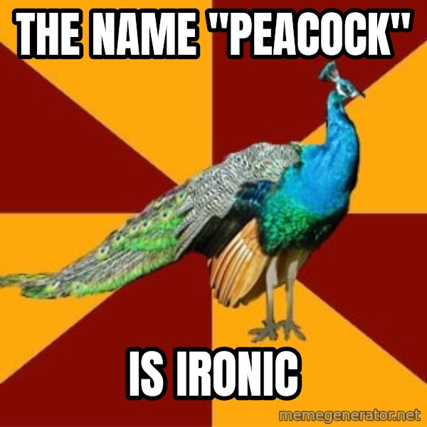 Thespian Peacock meme: the name "peacock" / is ironic