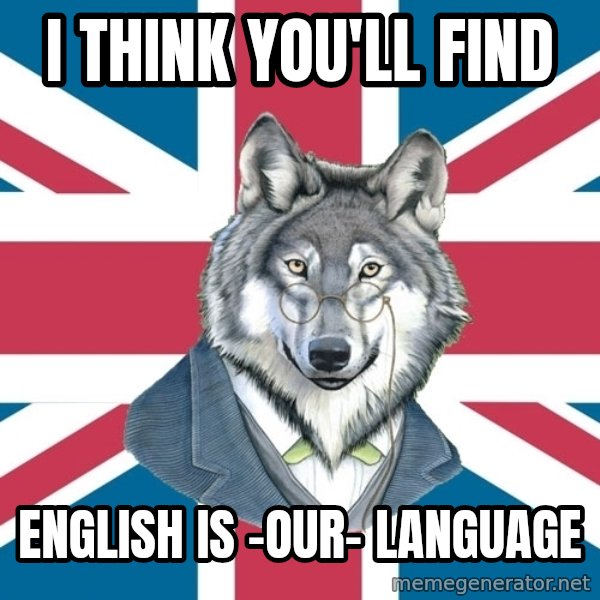 Sir Courage Wolf Esquire meme: I think you'll find / english is -our- language