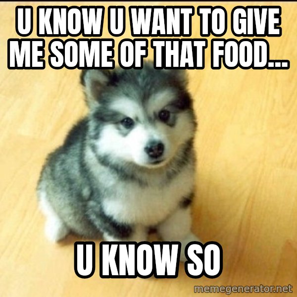Baby Courage Wolf meme: U know u want to give me some of that food... / u know so