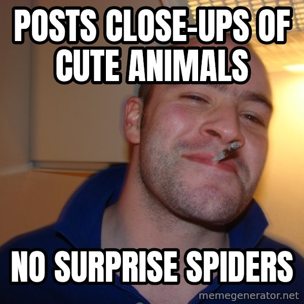 Good Guy Greg meme: Posts close-ups of cute animals / no surprise spiders