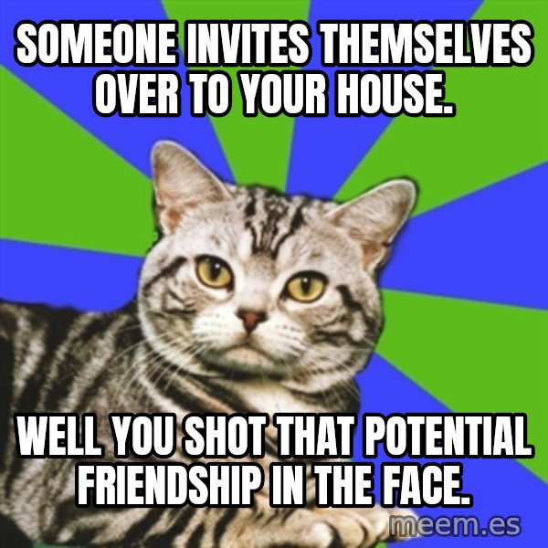 Introvert Cat meme: Someone invites themselves over to your house. / Well you shot that potential friendship in the face.