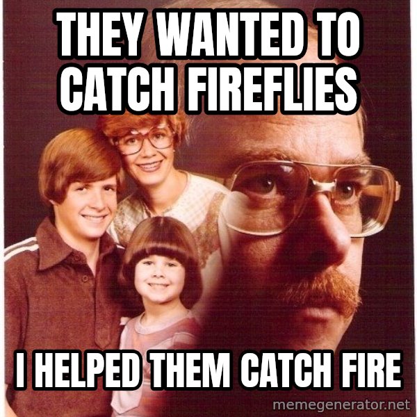 Vengeance Dad meme: they wanted to catch fireflies / i helped them catch fire