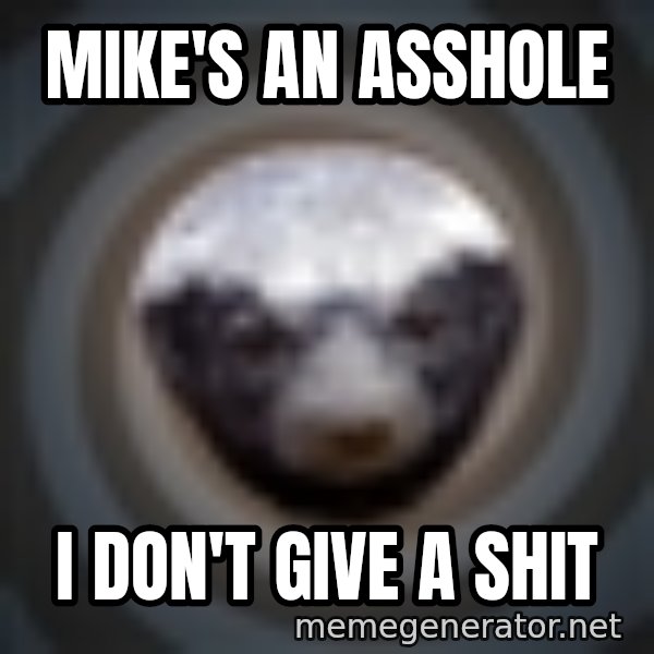 Fearless Honeybadger meme: MIKE'S AN ASSHOLE / I DON'T GIVE A SHIT