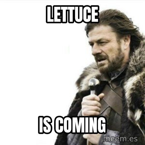 Prepare yourself meme: lettuce / is coming