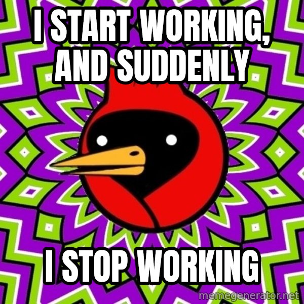 Omsk Crow meme: i start working, and suddenly / i stop working