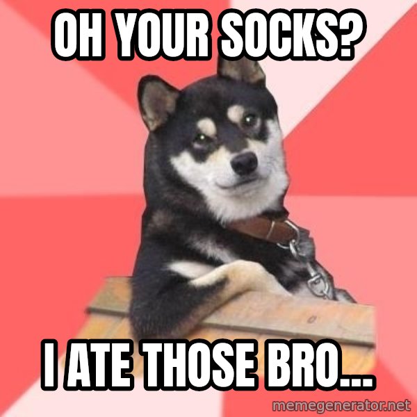Cool Dog meme: oh your socks? / i ate those bro...