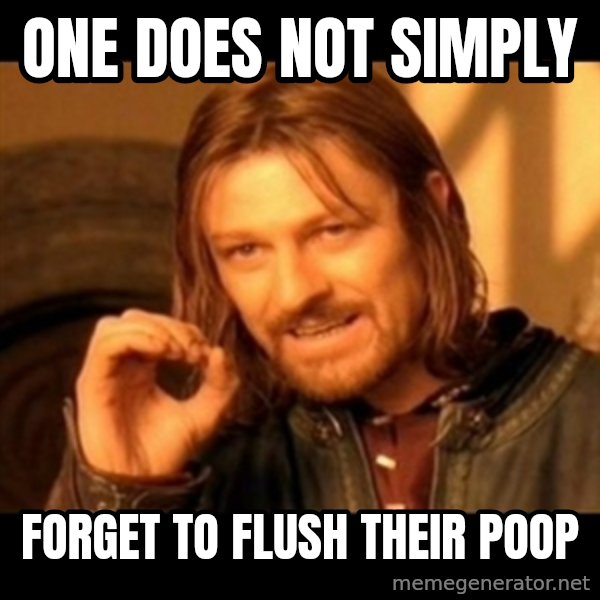 Does not simply walk into mordor Boromir  meme: One does noT simply / Forget to flush their poop