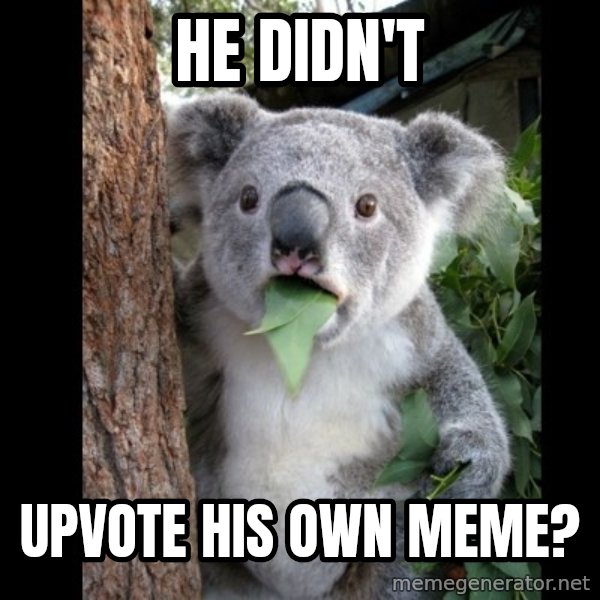 Koala can't believe it meme: he didn't / upvote his own meme?