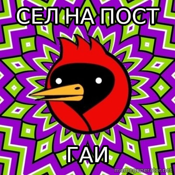 Omsk Crow meme: сел на пост / гаи