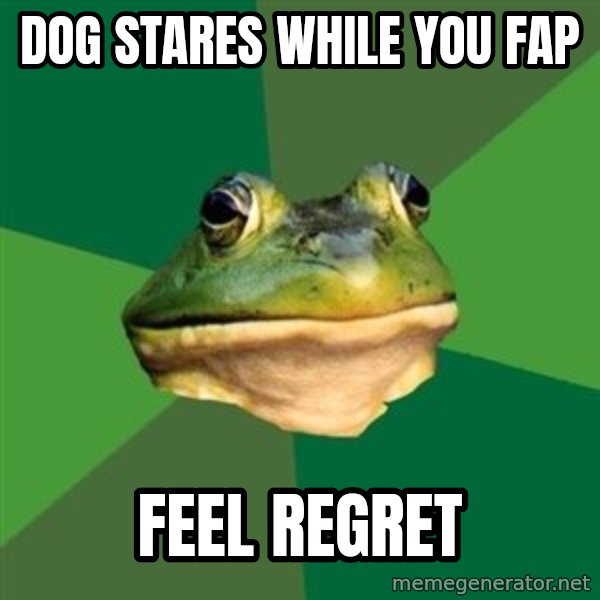 Foul Bachelor Frog meme: Dog stares while you fap / Feel regret