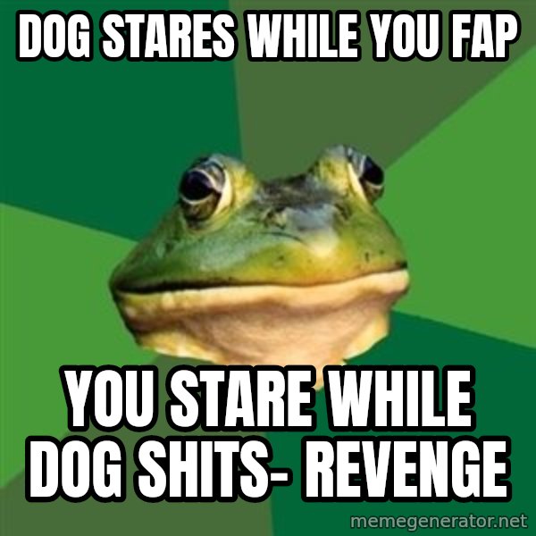 Foul Bachelor Frog meme: Dog stares while you fap / You stare while dog shits- revenge