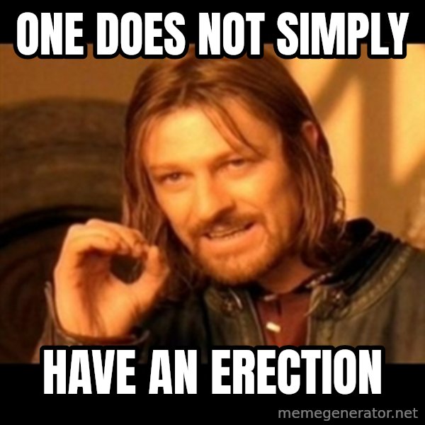 One Does Not Simply meme: One does not simply / have an erection