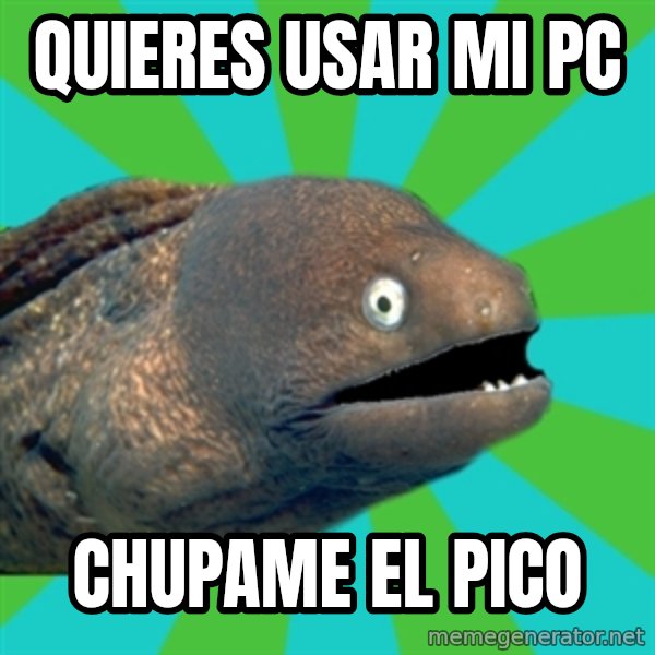Anguila ordinaria meme: quieres usar mi pc / chupame el pico
