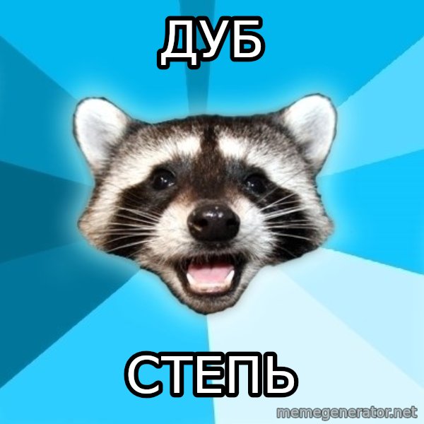 Lame Pun Coon meme: Дуб / степь