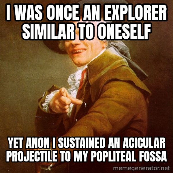 Joseph Ducreux meme: i was once an explorer similar to ONESELF / yet anon i sustained an acicular projectile to my popliteal fossa