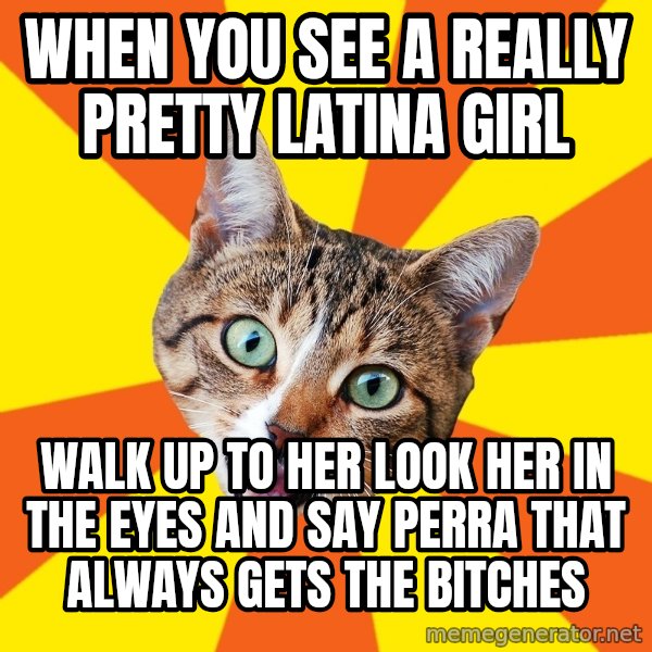 Bad Advice Cat meme: when you see a really pretty latina girl / walk up to her look her in the eyes and say perra that always gets the bitches