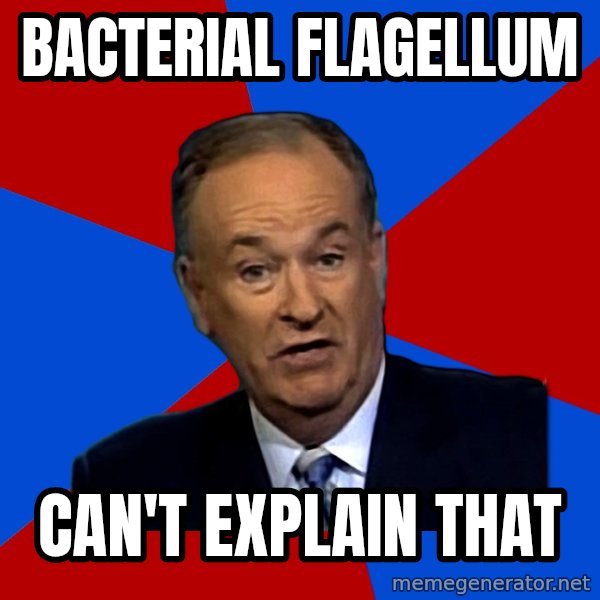 Bill O'Reilly Proves God meme: bacterial flagellum / can't explain that