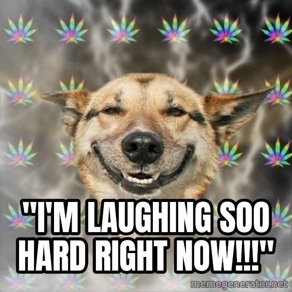 Stoner Dog meme: "I'm laughing soo hard right now!!!"