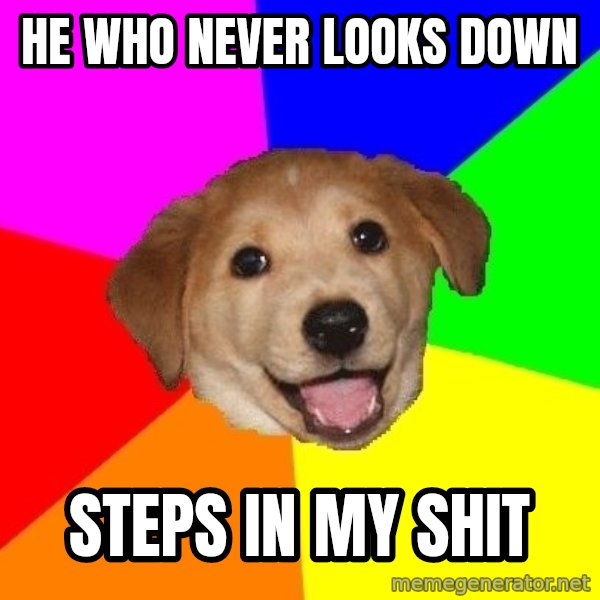 Advice Dog meme: he who never looks down / steps in my shit