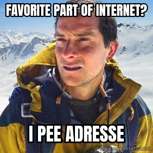 Bear Grylls meme: favorite part of internet? / i pee adresse