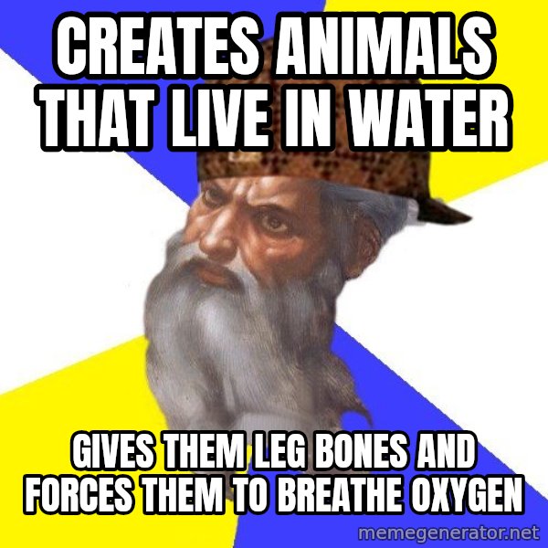 Scumbag God meme: creates animals that live in water / gives them leg bones and forces them to breathe oxygen