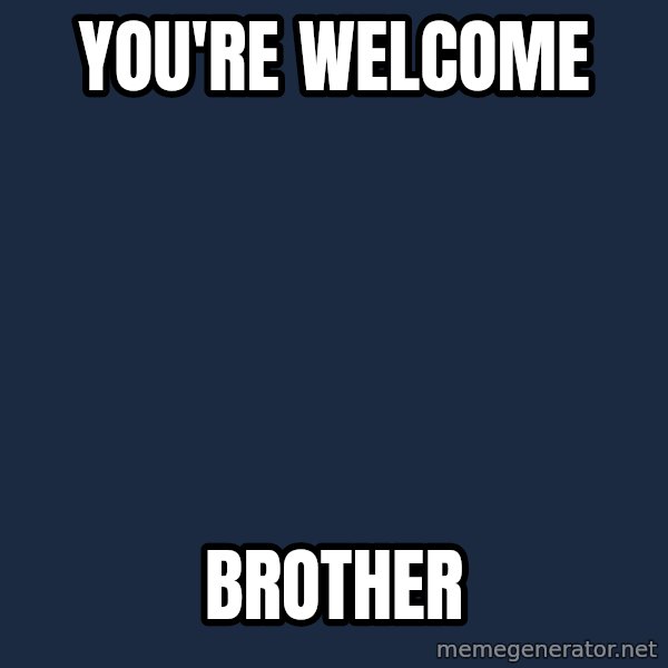 Hulk Hogan meme: You're Welcome / Brother