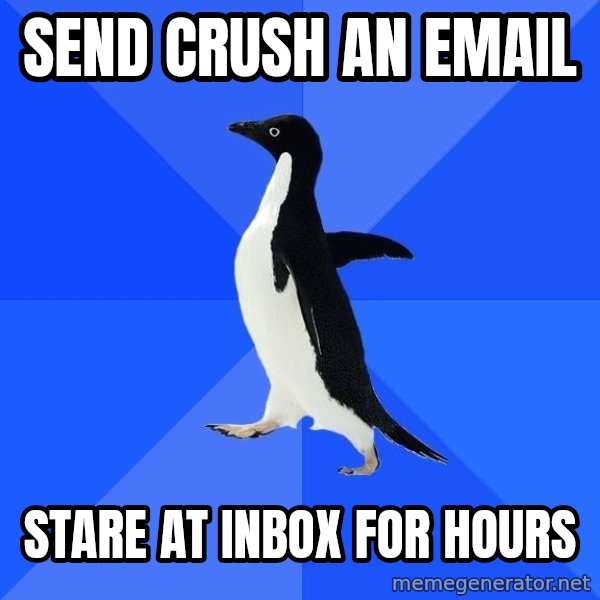 Socially Awkward Penguin meme: send crush an email / stare at inbox for hours