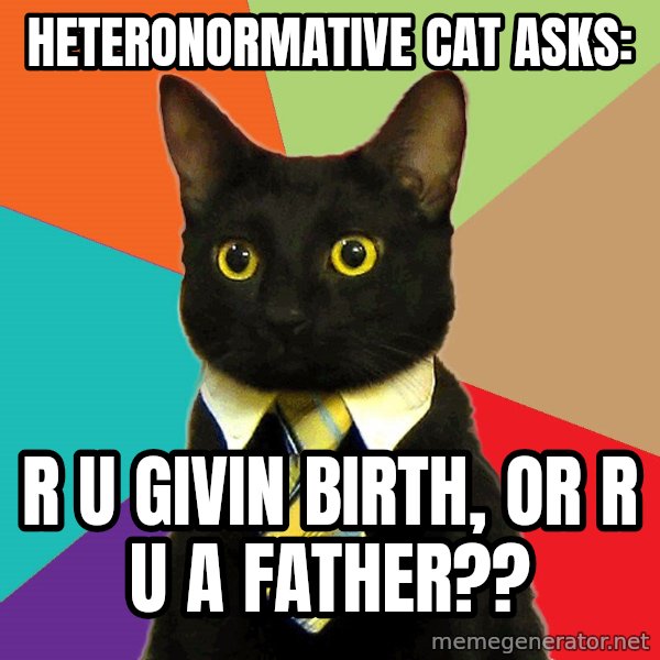 Business Cat meme: heteronormative cat asks: / r u givin birth, or r u a father??