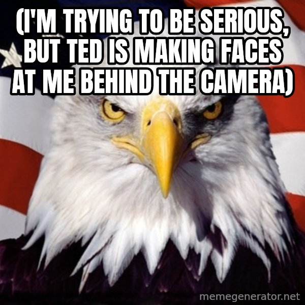 American Pride Eagle meme: (I'M TRYING TO BE SERIOUS, BUT TED IS MAKING FACES AT ME BEHIND THE CAMERA)