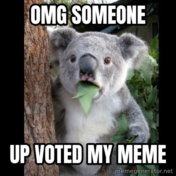Koala can't believe it meme: OMG someone / up voted my meme
